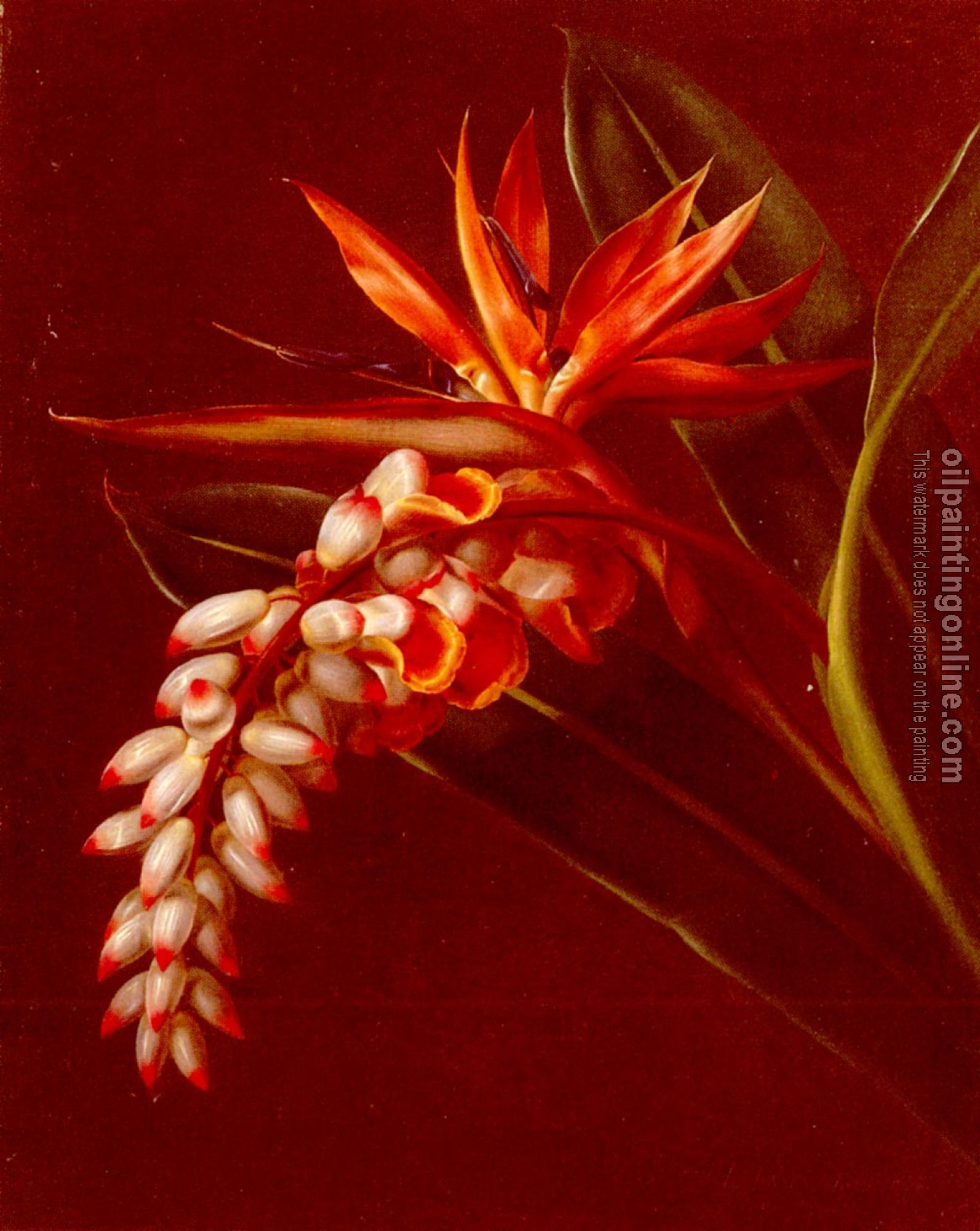 Johan Laurentz Jensen - Bird Of Paradise
